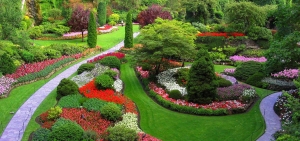 Unlock the Beauty of Your Garden with Nutrient-Rich Garden Soil
